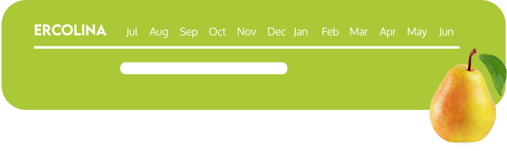 calendario ercolina