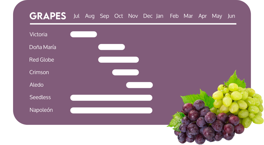 calendario