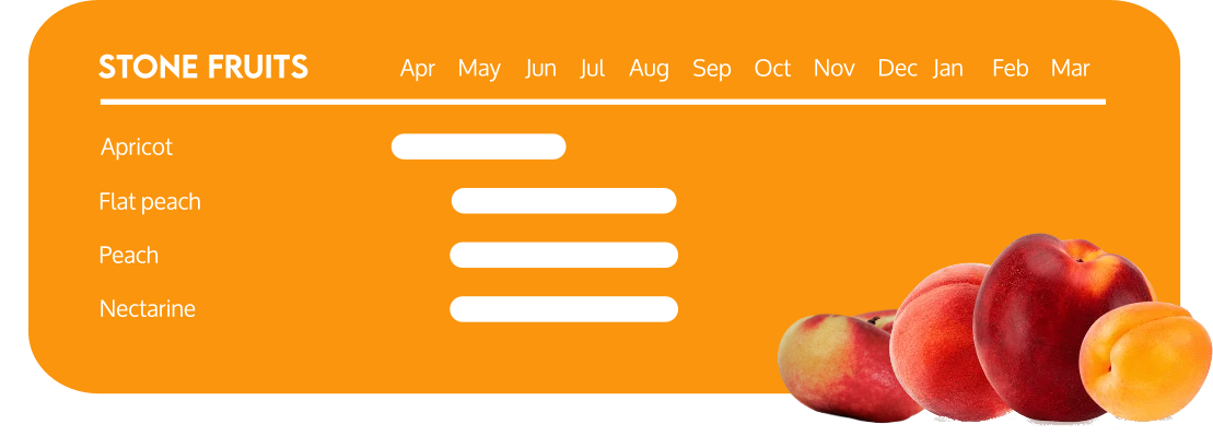 calendario